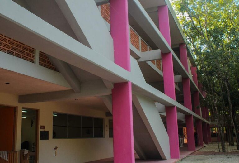 Foto de Comunidad Educativa el Papalote