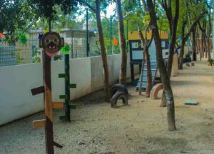 Galería Comunidad Educativa el Papalote