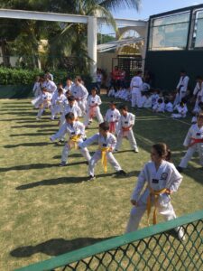 Galería Britt Academy