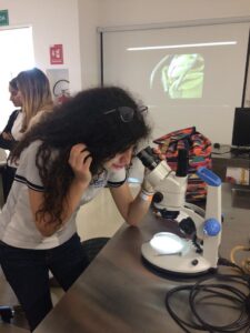 Galería Britt Academy