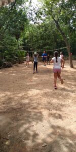 Galería El Árbol Azomali