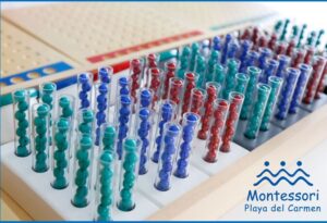 Galería Colegio Montessori Playa del Carmen