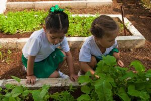Galería Green Village School