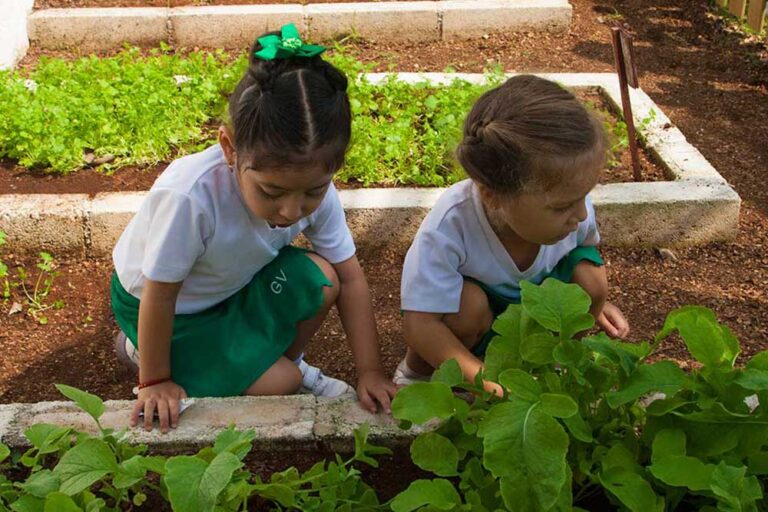 Foto de Green Village School
