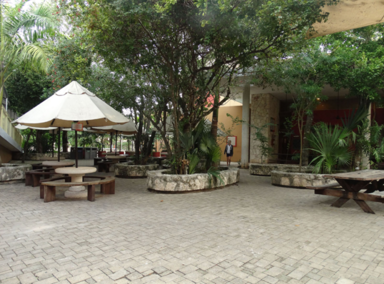Foto de Instituto Tepeyac XCARET