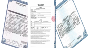 Ficha tecnica de  Trámite de Apostilla de Acta de Nacimiento Americana