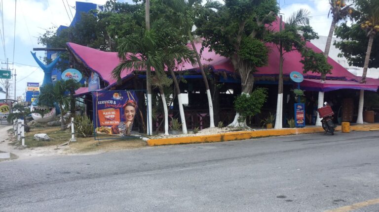 Foto de El Oasis