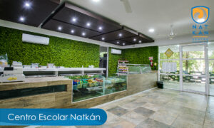 Galería Centro Escolar Natkán