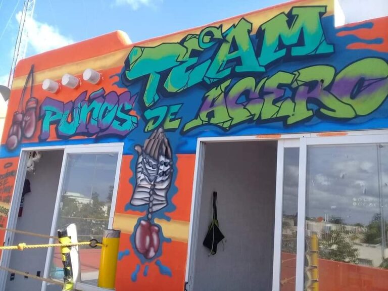 Foto de Escuela de Boxeo Puños de Acero