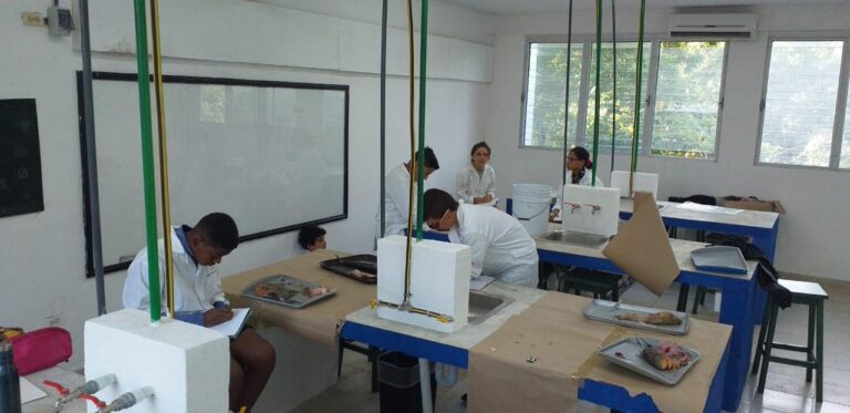 Foto de Centro Educativo Humboldt