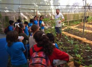 Galería Onda encantada Comunidad de Aprendizaje