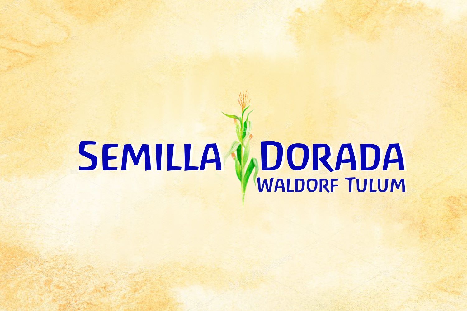 Logo de Semilla Dorada Waldorf