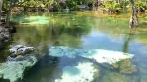 Galería Cenote Azul