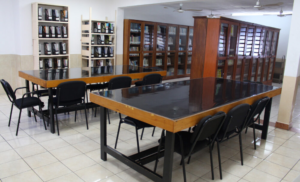 Galería Colegio San Agustín