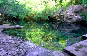 Galería Cenote Cristalino