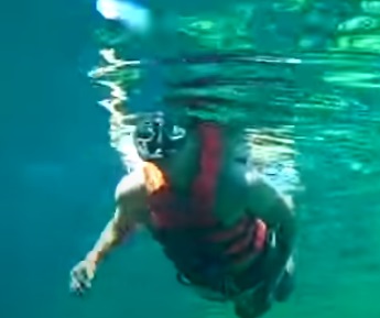 Nado en el cenote Incluído. Renta de visor.