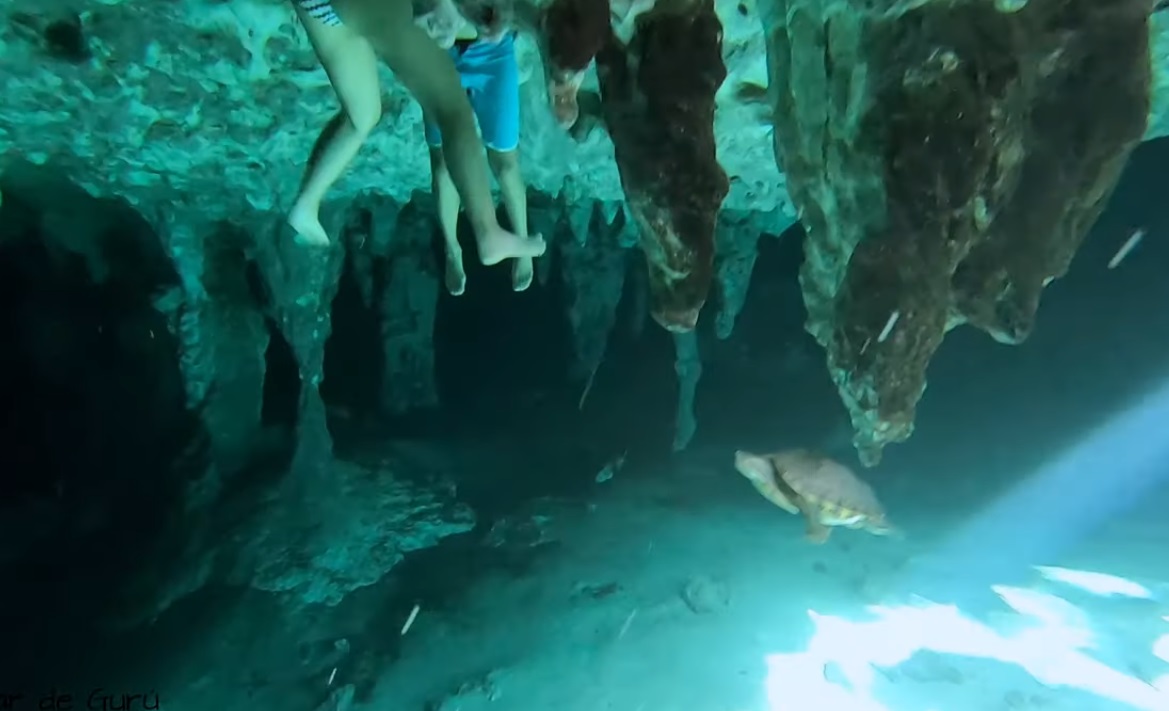 Nadar en ambos cenotes incluido. Venta de cámara acuática.