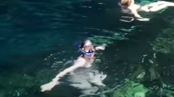 Snorkeling incluido. Renta de Chalecos y visor.