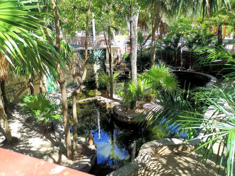 Foto de Finca Yorogana