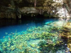Galería El Gran Cenote