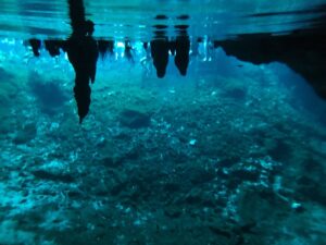 Galería El Gran Cenote