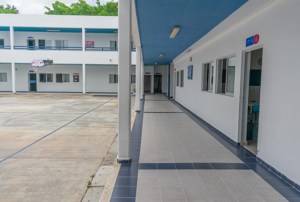 Galería Colegio Alexandre