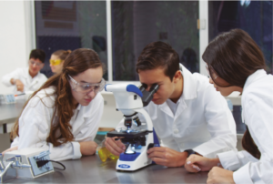 Galería Colegio Alexandre