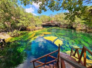 Galería Cenote el Edén