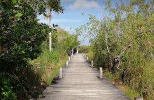 Galería Laguna Kaan Luum