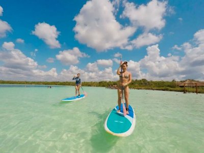 Renta de kayaks o paddleboard