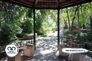 Galería Escuela Preparatoria México