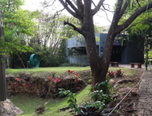 Galería Escuela Preparatoria México