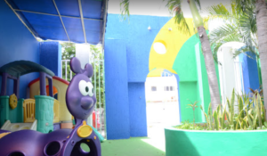 Galería Instituto SAVIA