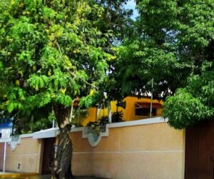 Galería Colegio Educrea Edificio Central