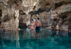 Galería Akumal Monkey Sanctuary