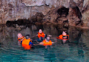 Galería Akumal Monkey Sanctuary