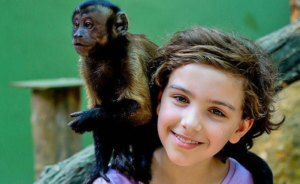 Galería Akumal Monkey Sanctuary