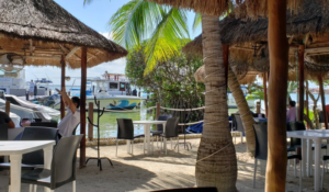 Galería El Fish Fritanga