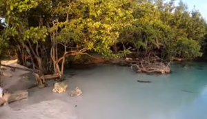 Galería Cenote Punta Esmeralda