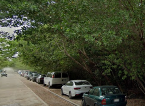 Galería Cenote Punta Esmeralda