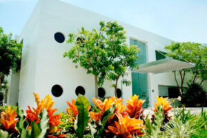 Galería The Workshop