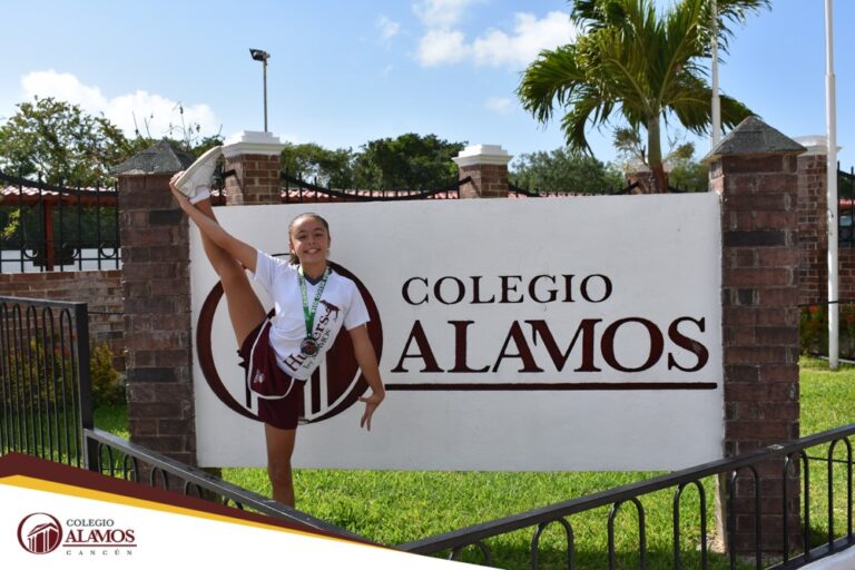 Foto de Colegio Álamos