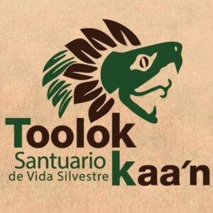 Logo de Toolok kaa'n