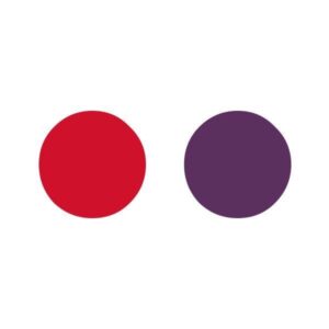 Ficha tecnica de Sushi Itto