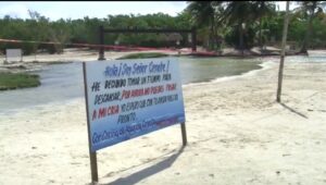 Imagen de ¡Cenote Punta Esmeralda reabrirá sus puertas al público!