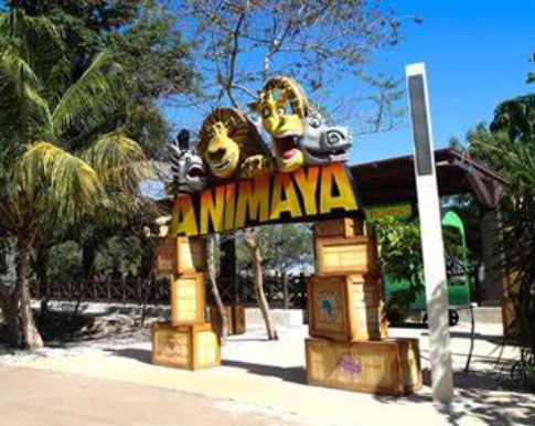 Ficha tecnica de Mejores Parques para niños en Mérida