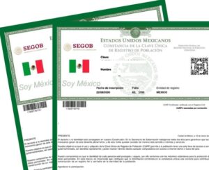 logo CURP en línea para tus hijos