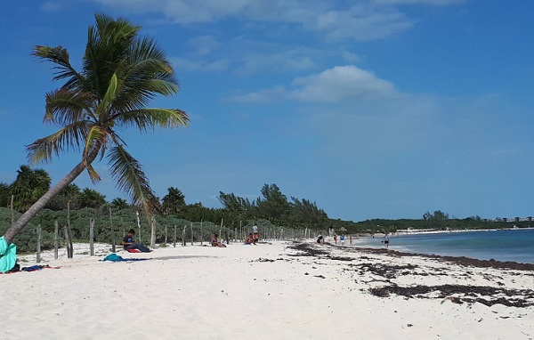 Mejores Clubs de Playa y Playas públicas en Playa del Carmen ⭐¡Ranking 2023  !