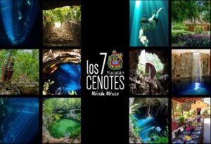 Logo de 7 cenotes de San Gerónimo