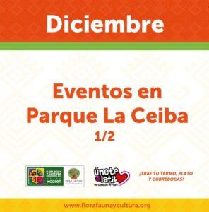 Imagen de 8 Actividades en Diciembre 2022 en Parque La Ceiba